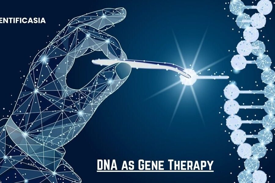 DNA as Gene Therapy: The Promising Future of Genetic Medicine