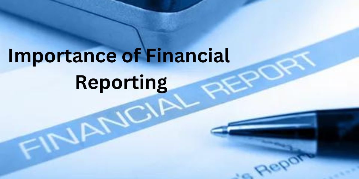 Exploring Financial Reporting and Its Role in Organizational Excellence