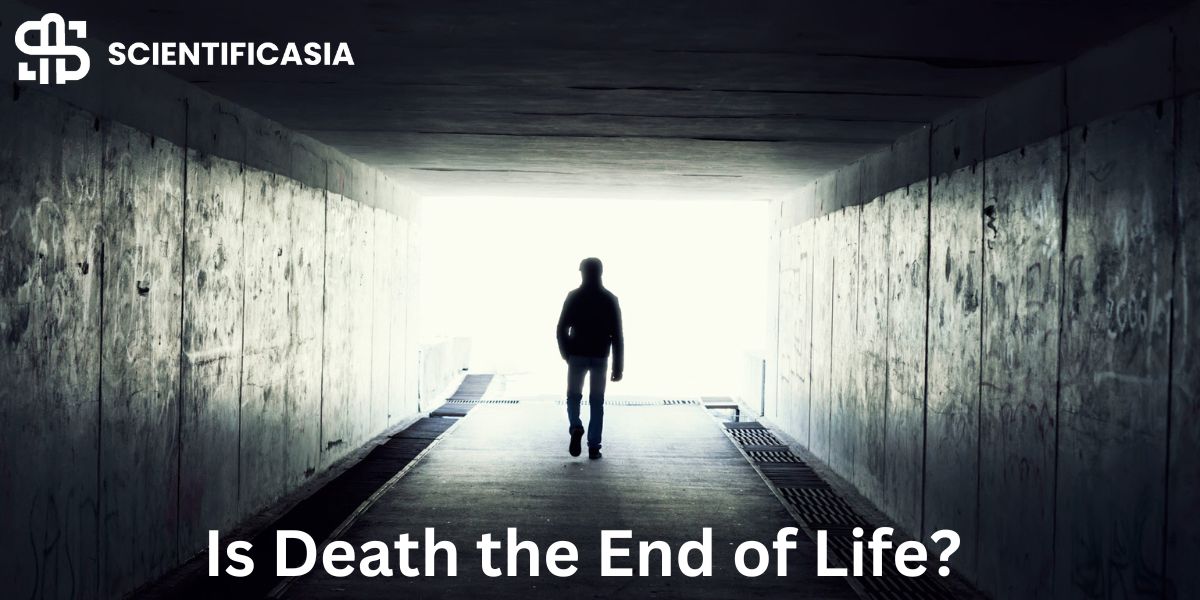 Is Death the End of Life?