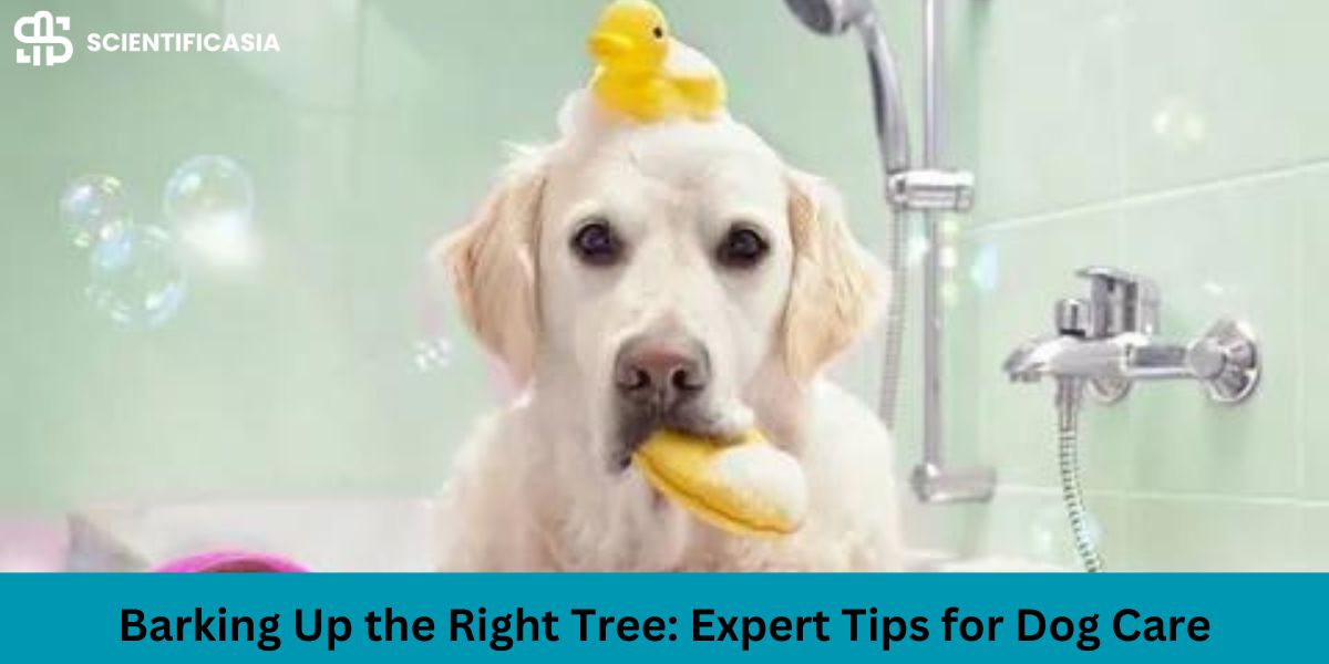 Barking Up the Right Tree: Expert Tips for Dog Care