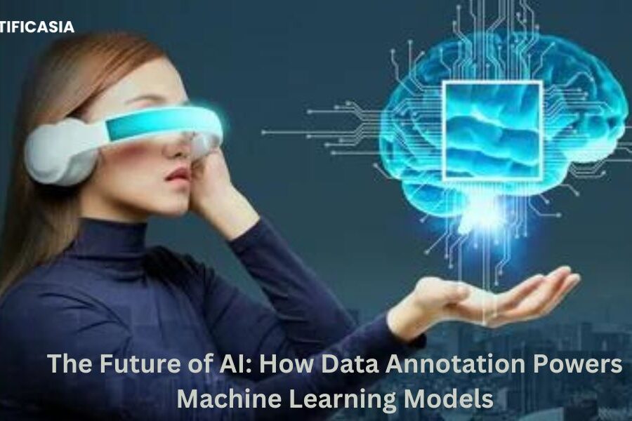 The Future of AI: How Data Annotation Powers Machine Learning Models