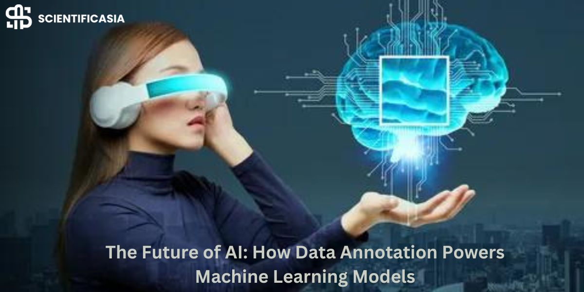 The Future of AI: How Data Annotation Powers Machine Learning Models