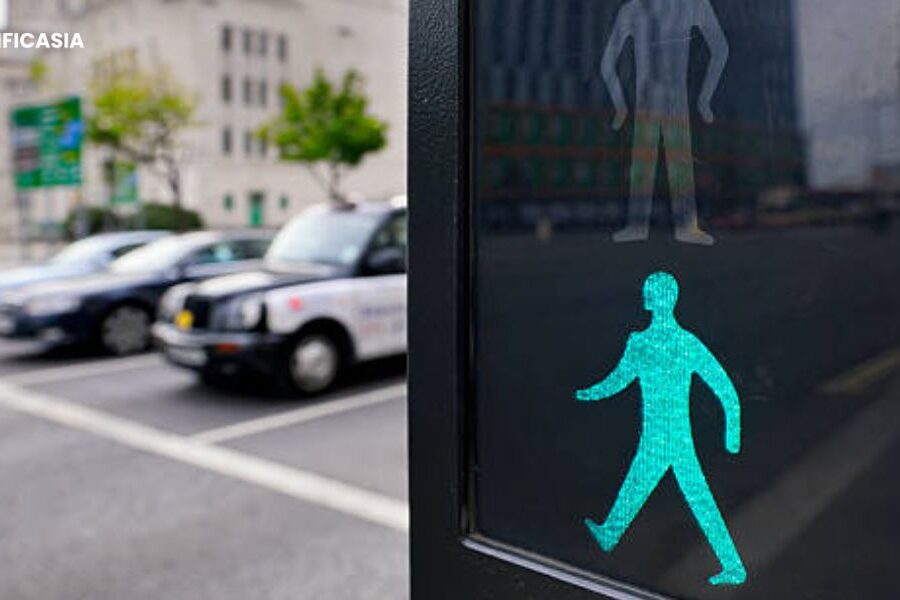 Ensuring Safety By Navigating the Challenges of Pedestrian Safety in Urban Areas