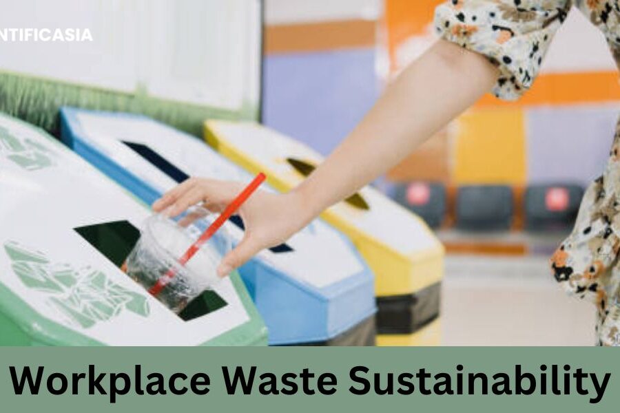 Workplace Waste Sustainability: Your Ultimate Guide to Office Waste Management