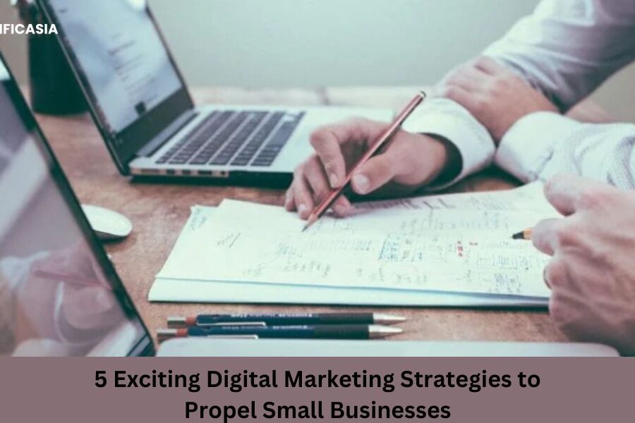 5 Exciting Digital Marketing Strategies to Propel Small Businesses