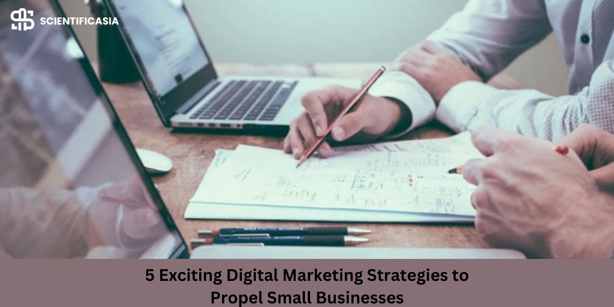 5 Exciting Digital Marketing Strategies to Propel Small Businesses