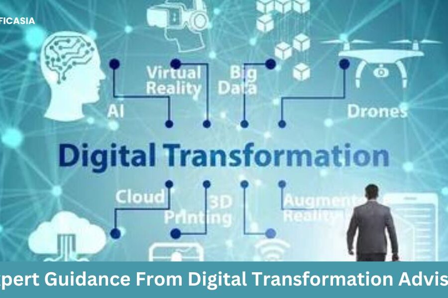 Thriving In The Digital Era: Expert Guidance From A Transformation Advisor