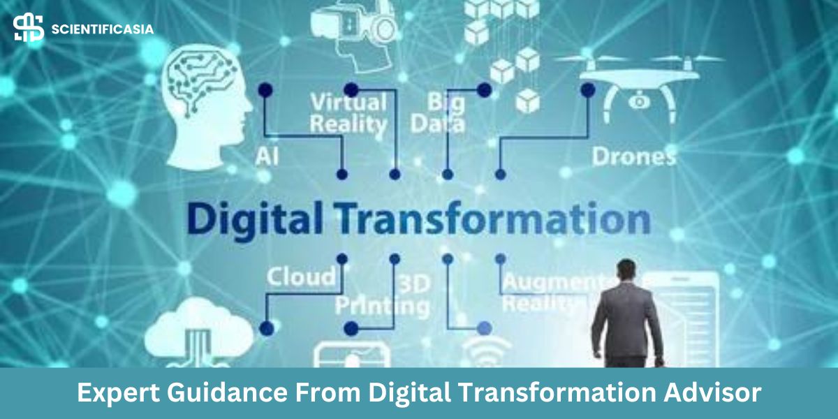 Thriving In The Digital Era: Expert Guidance From A Transformation Advisor