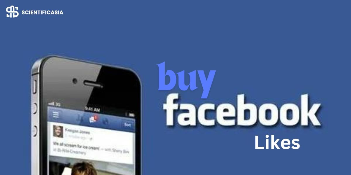 Buy Facebook Page Likes and Followers