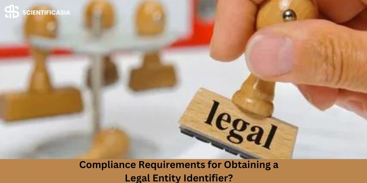 What Are the Compliance Requirements for Obtaining a Legal Entity Identifier?