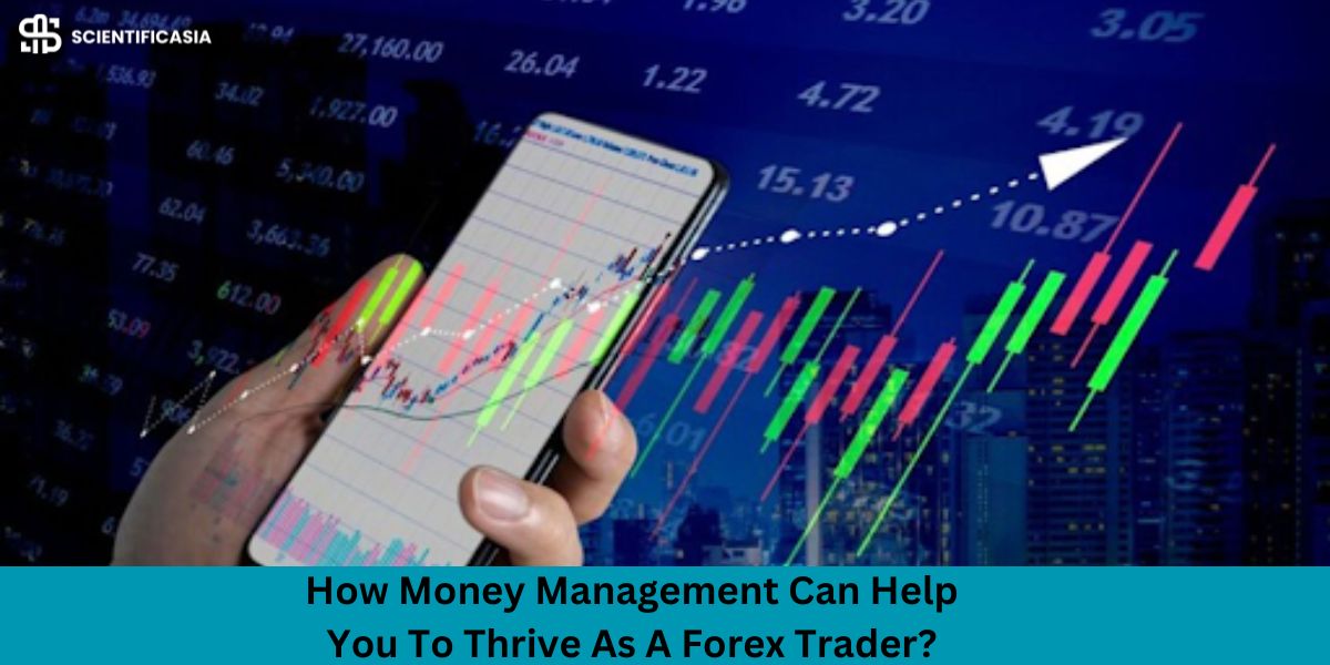 How Money Management Can Help You To Thrive As A Forex Trader?
