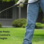 Say Goodbye to Pests: Proterra Pest Control’s Proven Strategies