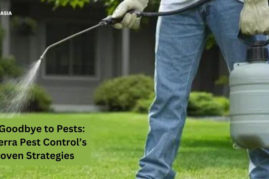 Say Goodbye to Pests: Proterra Pest Control’s Proven Strategies