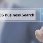 A Complete Guide to NY SOS Business Search