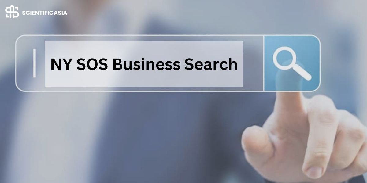 A Complete Guide to NY SOS Business Search