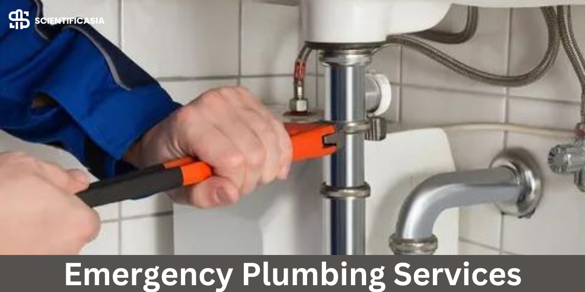 Emergency Plumbing Services: What to Expect and How to Choose the Right Provider