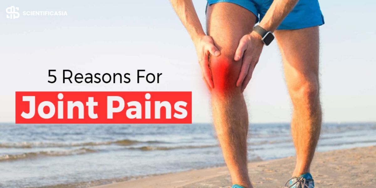 5 Reasons for joint pains