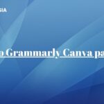 Envato Grammarly Canva package: A Design and Writing Dream Team