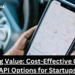 Maximizing Value: Cost-Effective Geocoding API Options for Startups