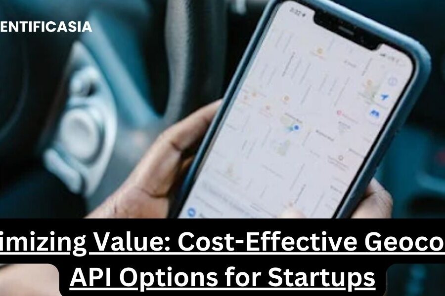 Maximizing Value: Cost-Effective Geocoding API Options for Startups