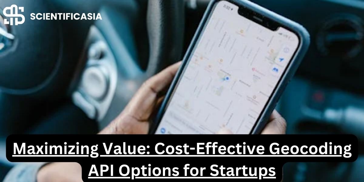 Maximizing Value: Cost-Effective Geocoding API Options for Startups