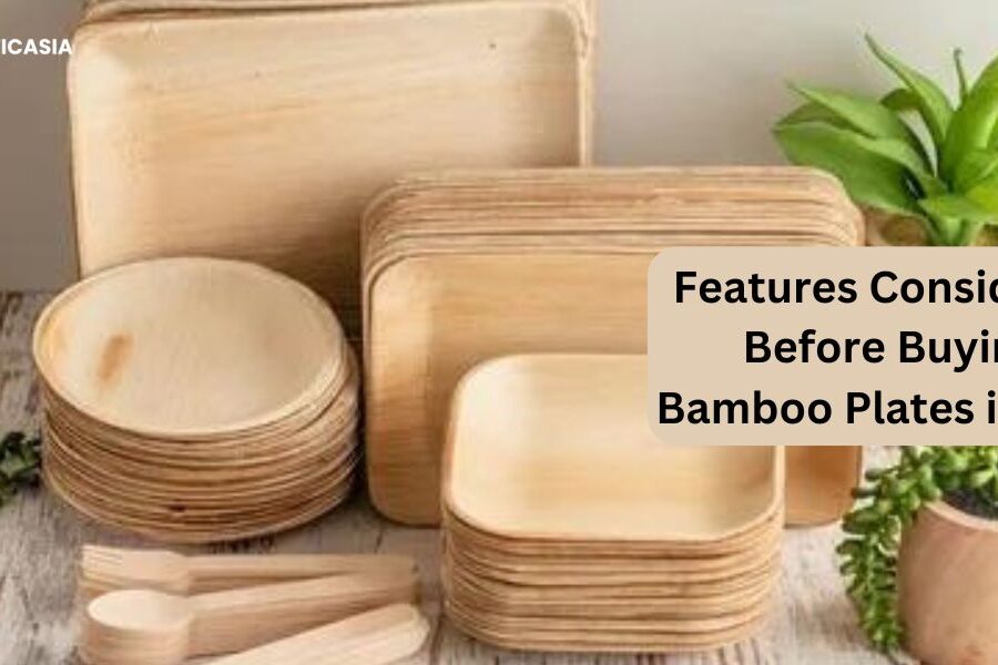 What features are considered before buying bamboo plates in bulk?