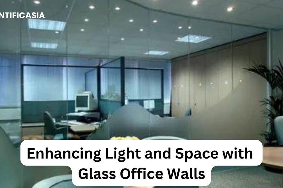 Enhancing Light and Space with Glass Office Walls