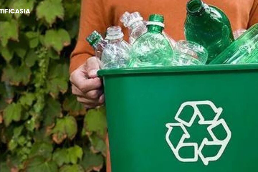 Why Recycling Matters and How Your Business Can Get Involved