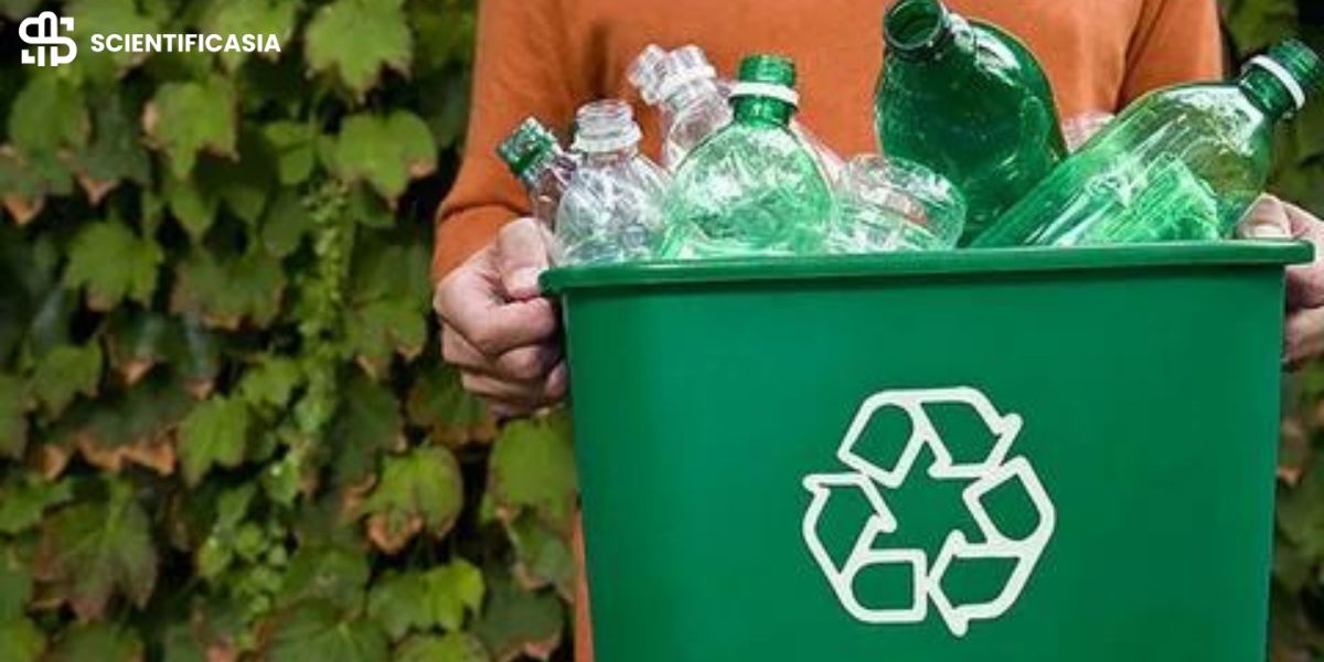 Why Recycling Matters and How Your Business Can Get Involved