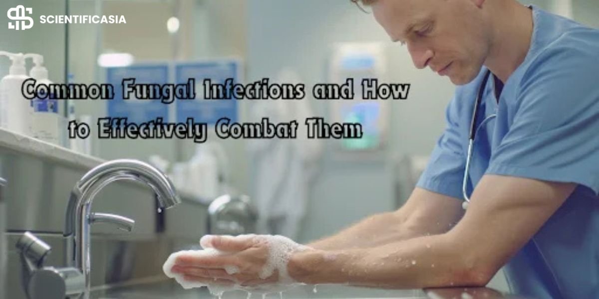 Common Fungal Infections and How to Effectively Combat Them