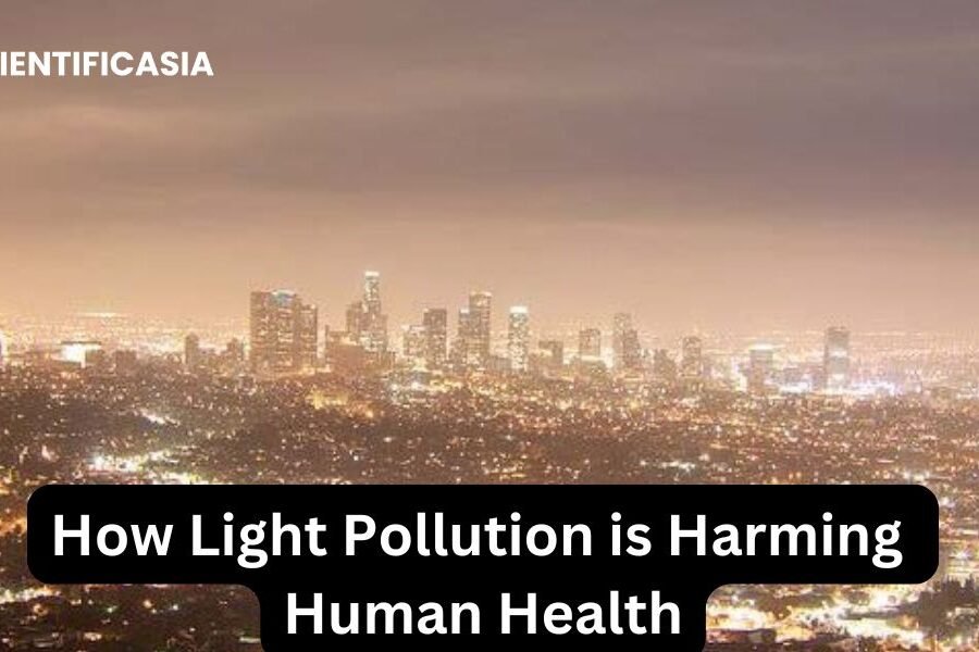 How Light Pollution is Harming Human Health