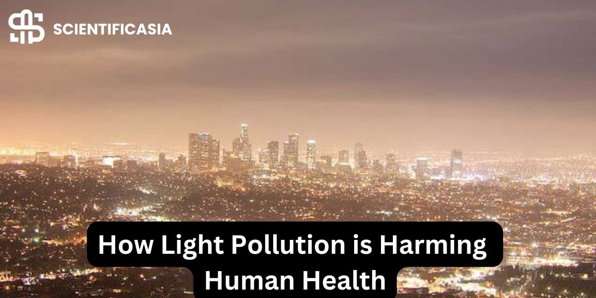 How Light Pollution is Harming Human Health