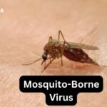 Massachusetts Confirms Fourth Case of Dangerous Mosquito-Borne Virus