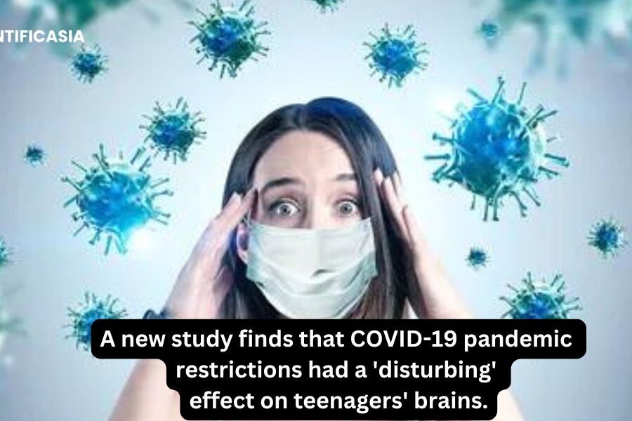 A new study finds that COVID-19 pandemic restrictions had a ‘disturbing’ effect on teenagers’ brains.