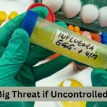 Hushed Spread: There is a big threat alarm raised for not controlling the bird flu