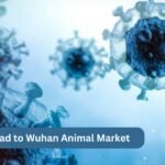 New Research Links Early COVID-19 Spread to Wuhan Animal Market