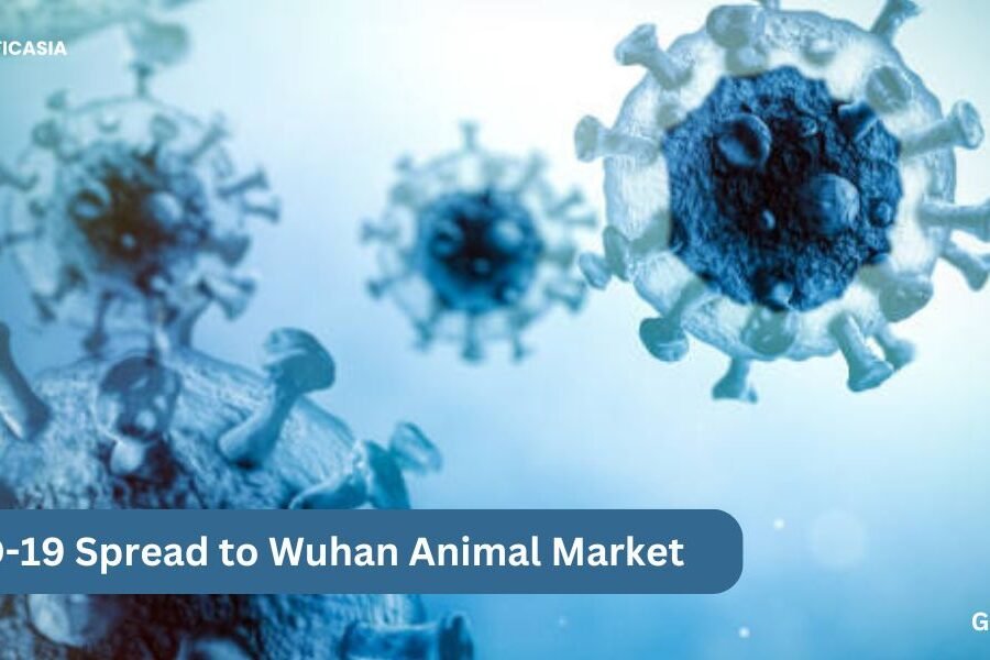 New Research Links Early COVID-19 Spread to Wuhan Animal Market