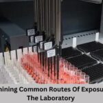 Examining Common Routes Of Exposure In The Laboratory 