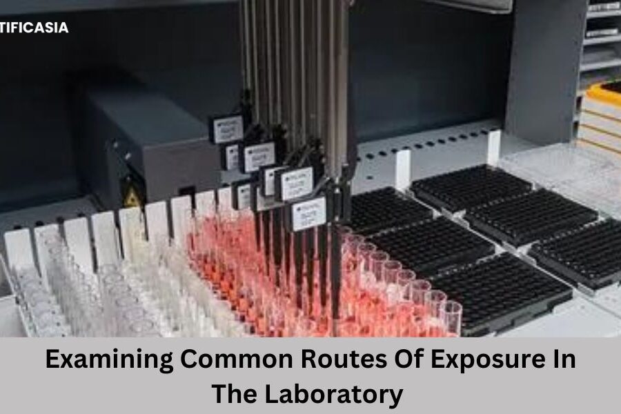 Examining Common Routes Of Exposure In The Laboratory 