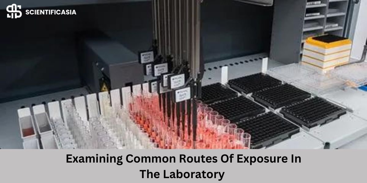 Examining Common Routes Of Exposure In The Laboratory 