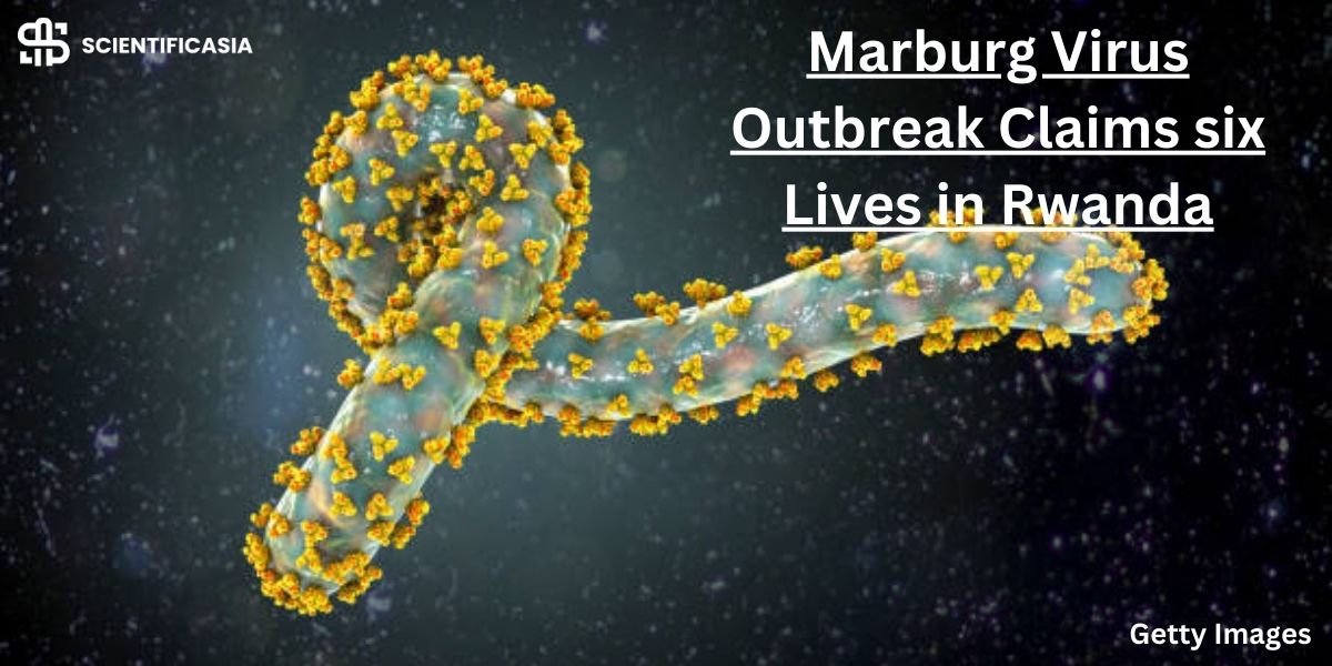 Marburg Virus Outbreak Claims Six Lives in Rwanda