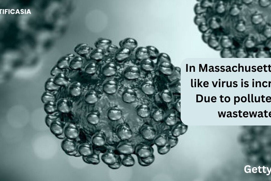 In the Massachusetts Polio-like virus is increasing Due to polluted and wastewater