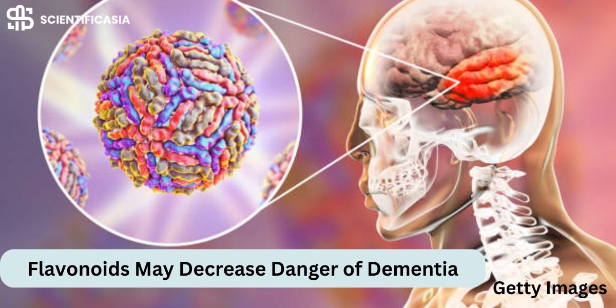 Through the deep study of flavonoids that are full of foods and drinks, it may decrease the danger of dementia