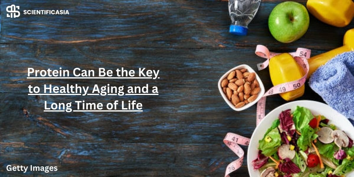 We have to know through the new research that this protein can be the key to healthy aging and a long time of life