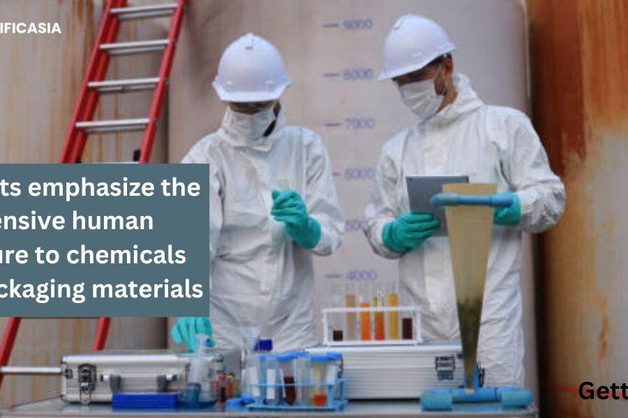 Scientists emphasize the extensive human exposure to chemicals from packaging materials