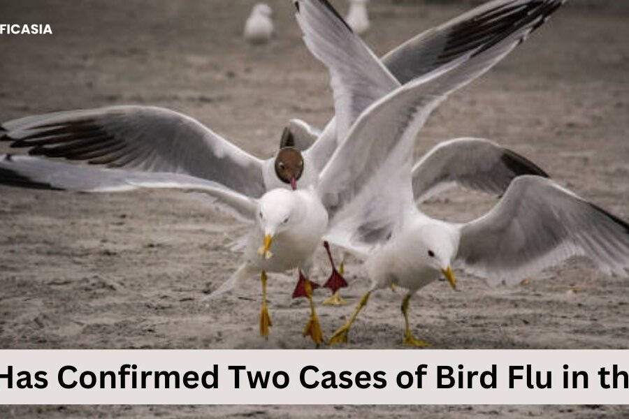 The CDC has confirmed two cases of bird flu in the US as the infection rate continues to rise