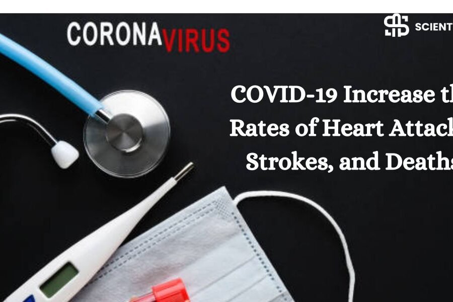 A new study finds that COVID-19 may increase the rates of heart attacks, strokes, and deaths