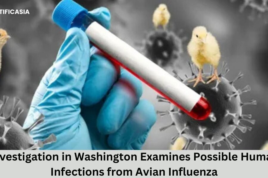 Investigation in Washington Examines Possible Human Infections from Avian Influenza