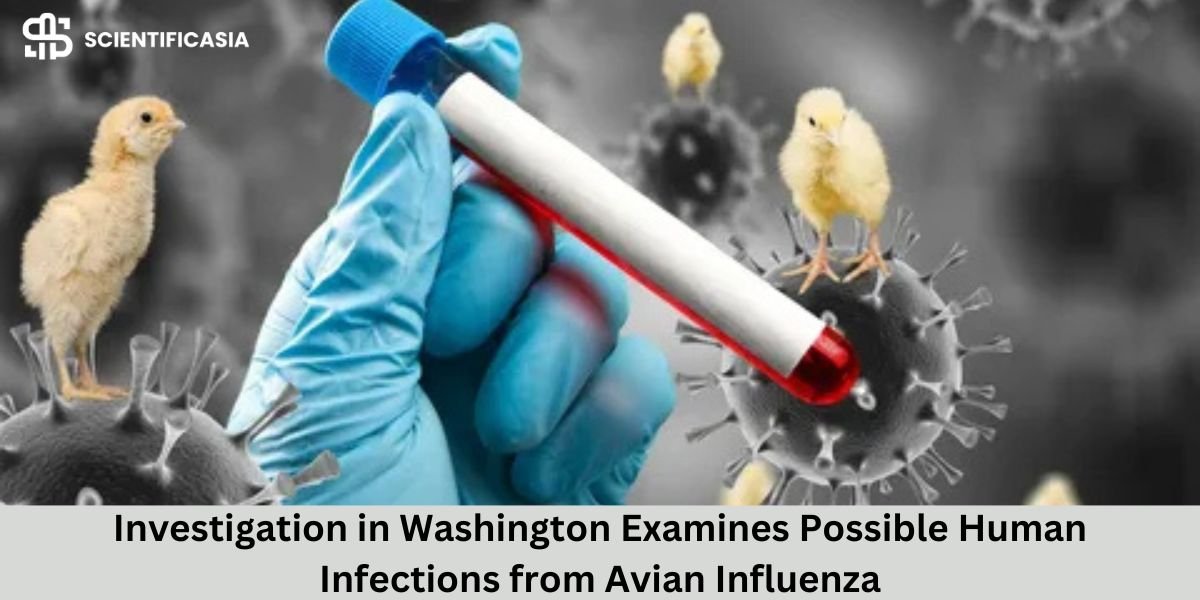 Investigation in Washington Examines Possible Human Infections from Avian Influenza