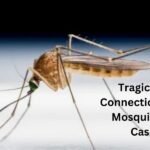 Tragic Death of Connecticut Dad from Mosquito Virus as Cases Rise